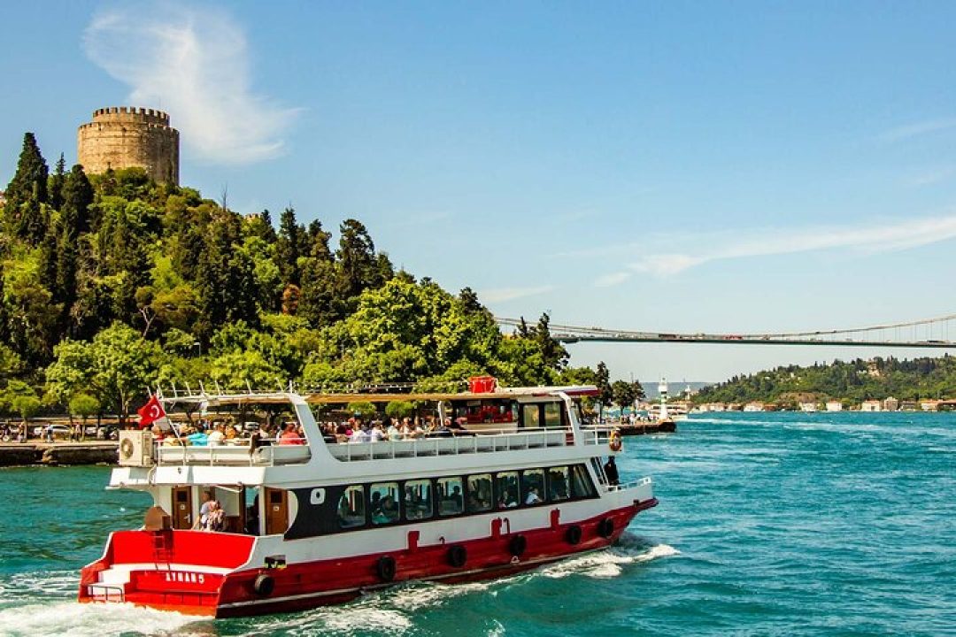 Istanbul Bosphorus Cruise Tour (3)