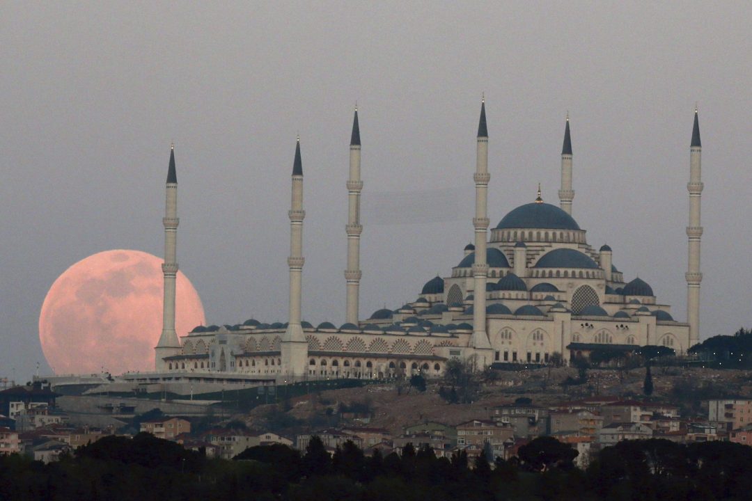 Istanbul Bosphorus Cruise Tour (4)