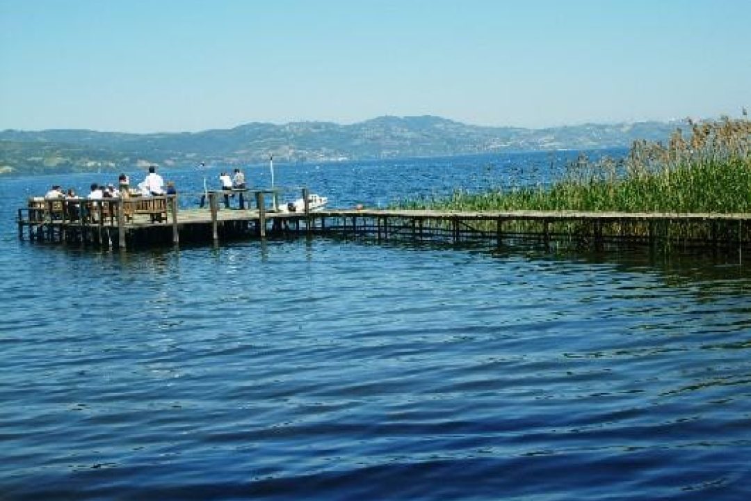 Sapanca and Masukiye Tour from Istanbul (4)